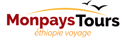 Monays Tours