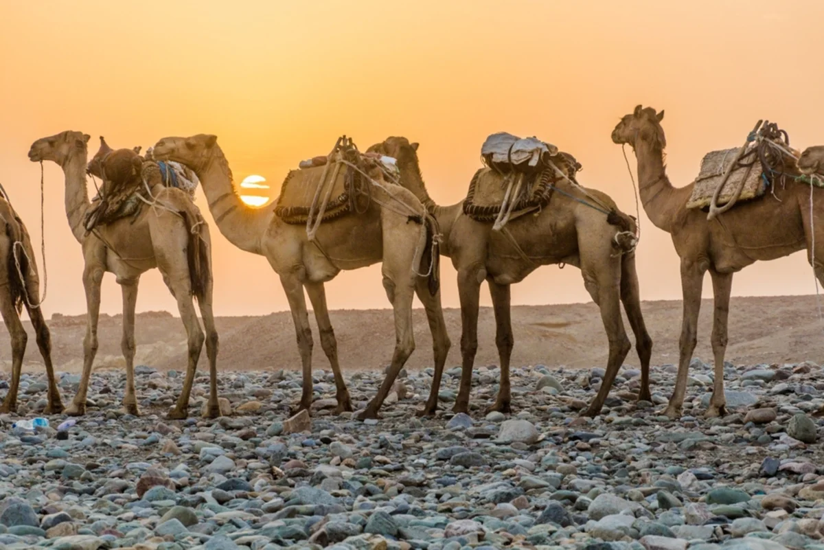 Afar Triangle / Danakil Depression