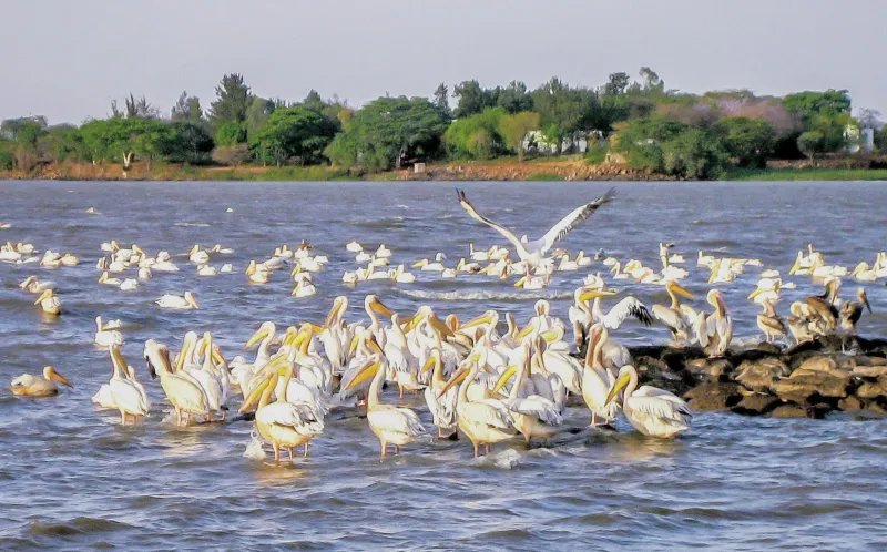 Lake Tana & Blue Nile Falls
