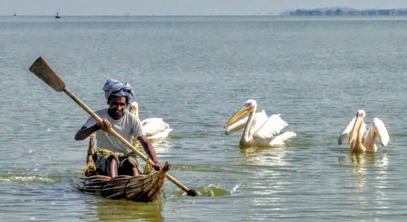 Lake Tana & Blue Nile Falls
