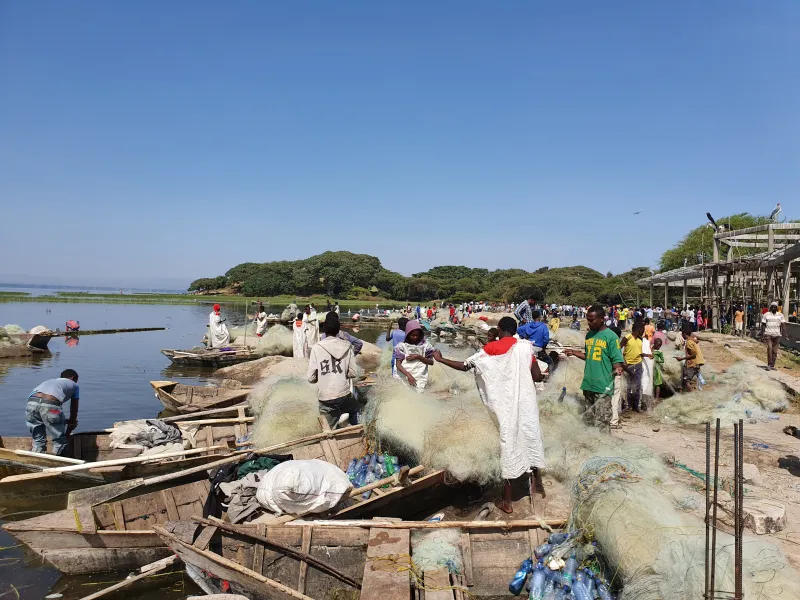 Hawassa